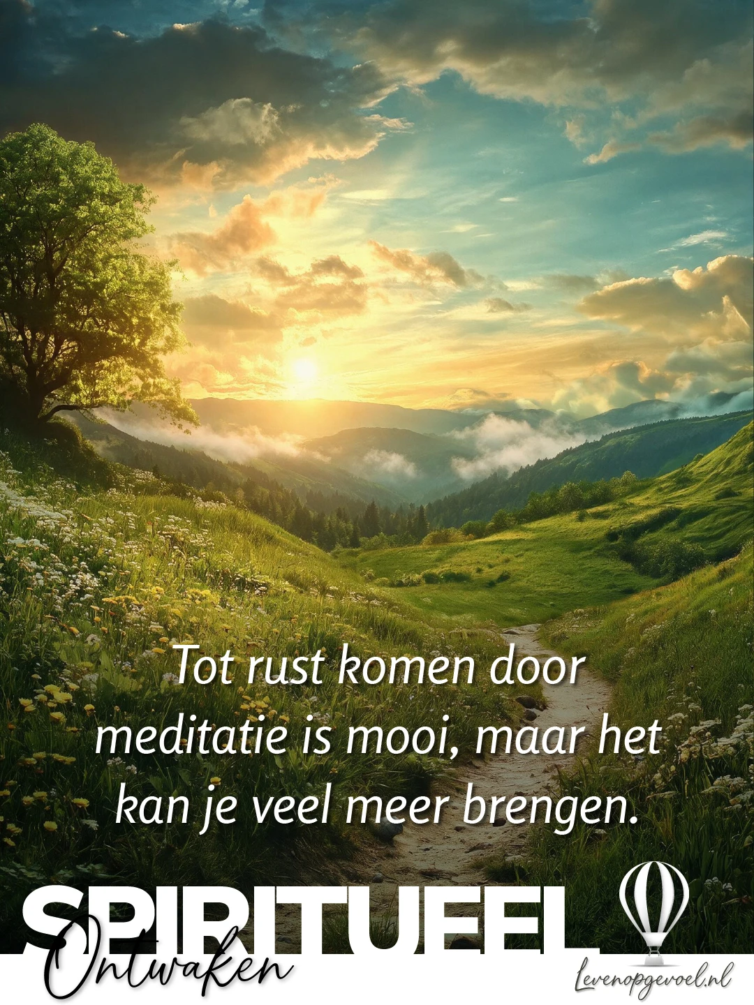 Zandpad tussen wilde bloemen en gras loopt door een groen berglandschap bij zonsondergang, met een grote boom links en een gouden zon tussen de wolken. Quote 'Tot rust komen door meditatie is mooi, maar het kan je veel meer brengen.' bij de categorie Spiritueel ontwaken van Leven op gevoel.