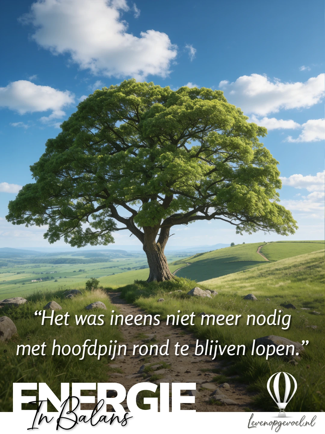 Grote eik op een glooiend groen heuvelpad onder een blauwe lucht met witte wolken, met in cursief de tekst: het was ineens niet meer nodig met hoofdpijn rond te blijven lopen; onderaan het label Energie In Balans met het logo van Leven op Gevoel