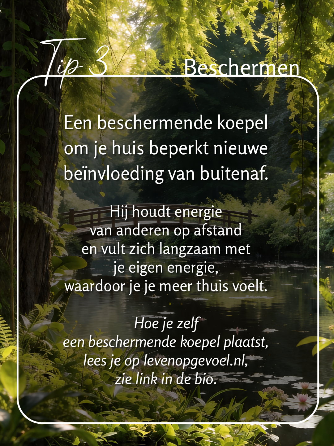 Negatieve energie in huis: herken het, begrijp het, doe er iets aan - 11