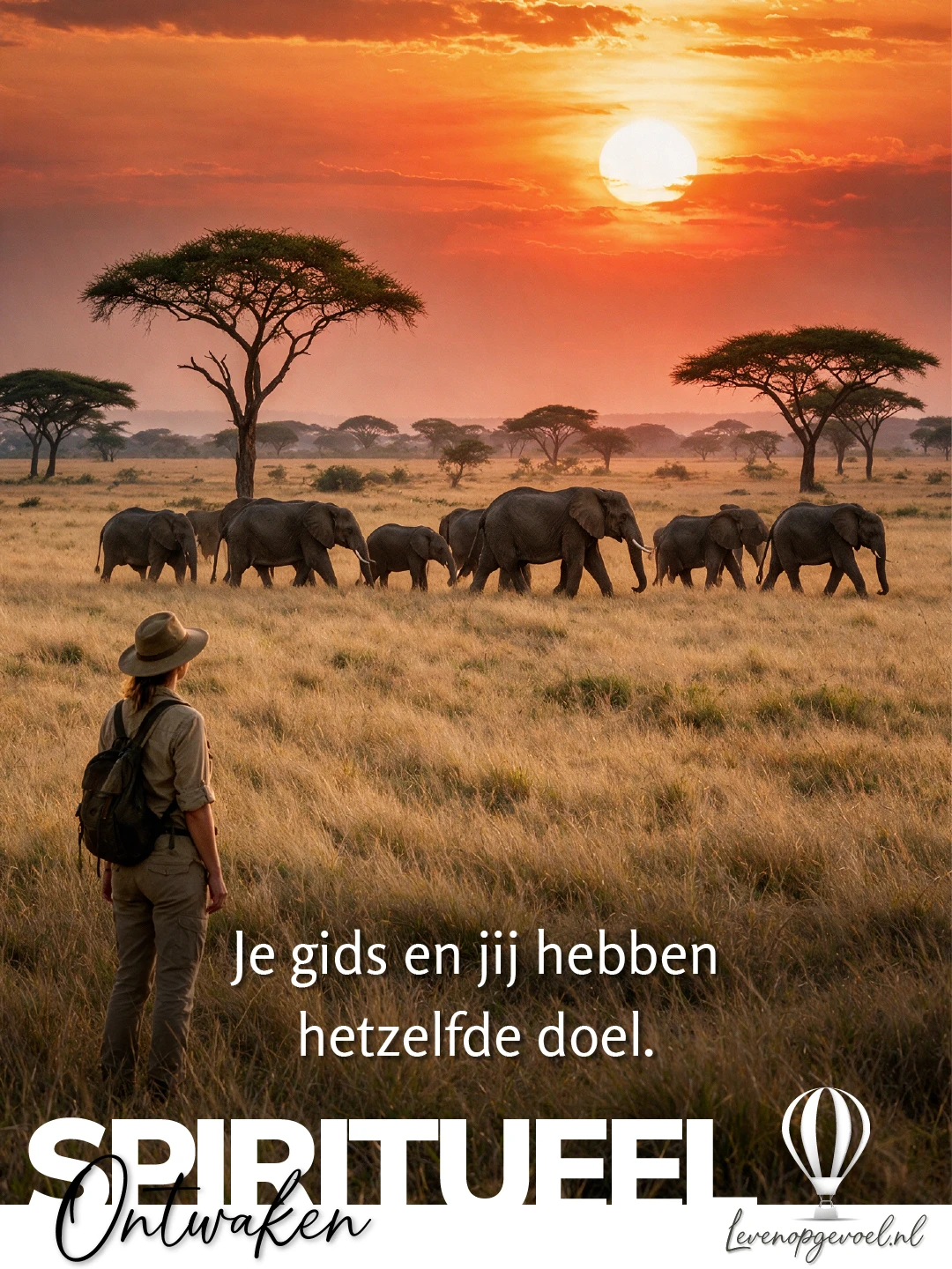 Savanne bij zonsondergang met een oranje lucht, acaciabomen en een kudde olifanten met jongen die door het gouden gras trekt; op de voorgrond staat een vrouw van achteren gezien met hoed en rugzak in het hoge gras, met de tekst 'Je gids en jij hebben hetzelfde doel' - Leven op gevoel