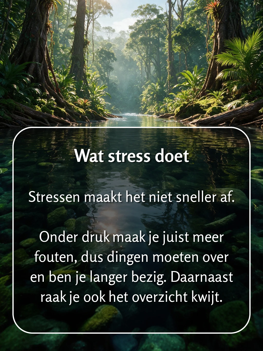 Een rivier in tropisch regenwoud, gezien vanaf laag bij het wateroppervlak, waardoor de mosbegroeide stenen op de bodem zichtbaar zijn. Tekst op de foto: 'Wat stress doet. Stressen maakt het niet sneller af. Onder druk maak je juist meer fouten, dus dingen moeten over en ben je langer bezig. Daarnaast raak je ook het overzicht kwijt.'