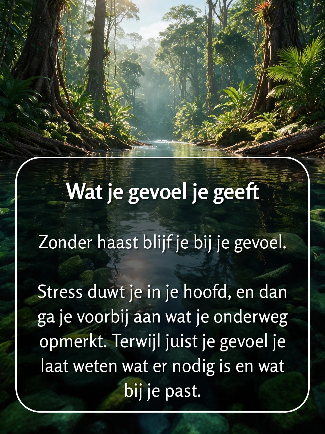 Een rivier door tropisch regenwoud met open water in het midden en dichte begroeiing langs de oevers. Tekst op de foto: 'Wat je gevoel je geeft. Zonder haast blijf je bij je gevoel. Stress duwt je in je hoofd, en dan ga je voorbij aan wat je onderweg opmerkt. Terwijl juist je gevoel je laat weten wat er nodig is en wat bij je past.'
