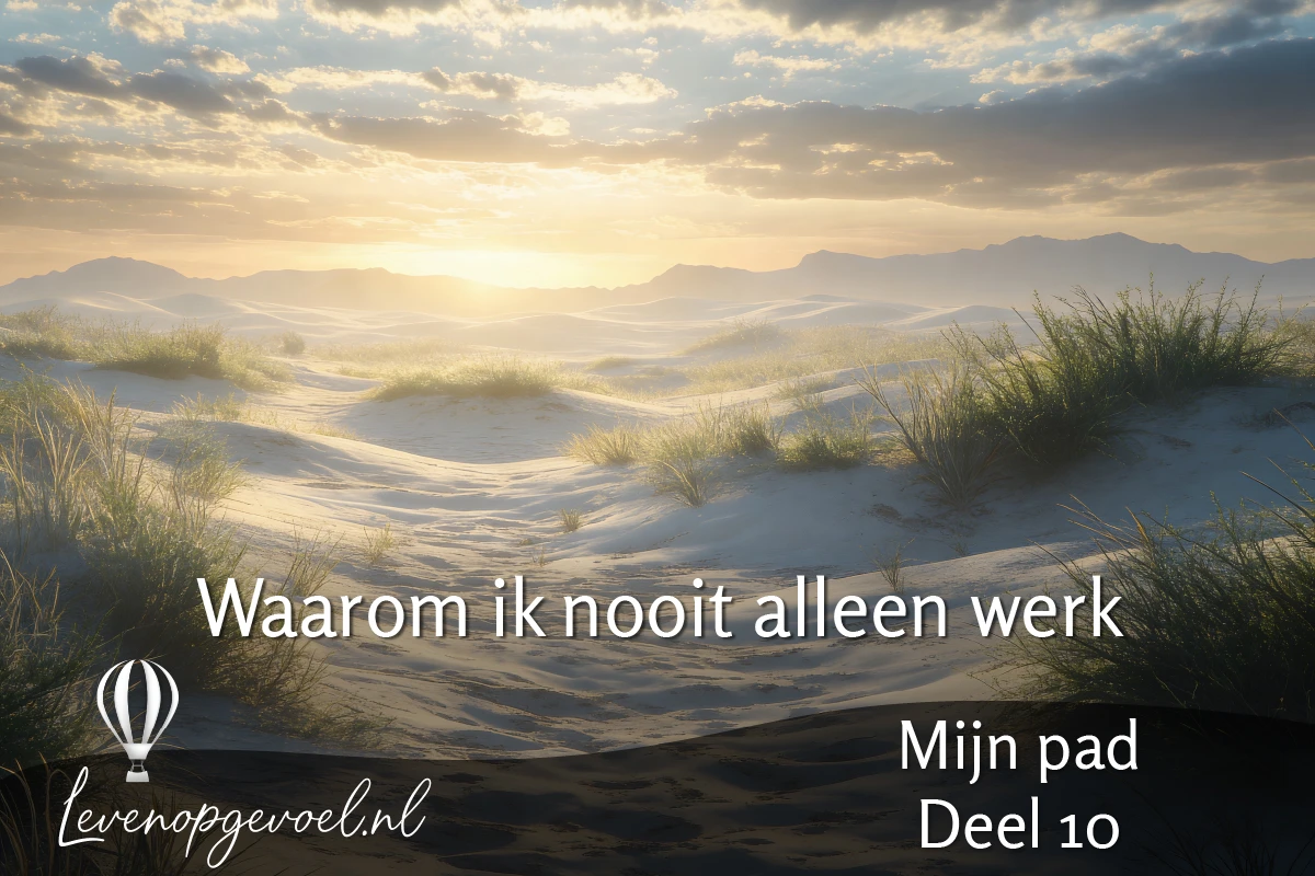 Mijn pad deel 10 – Waarom ik nooit alleen werk
