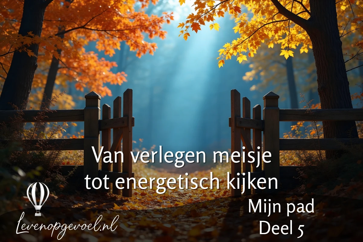 Mijn pad deel 5 – Van verlegen meisje tot energetisch kijken